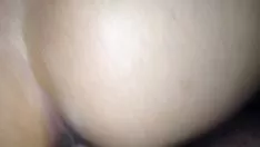 Play Lightfed
