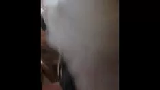 Putar Sashayoldingdongs nomor 1 saya. bilangan real nonprofesional terpisah : 1