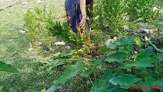 Riproduci Sesso bhabi bengalese con campo (registrazione video funzionale con anestetico locale 31)