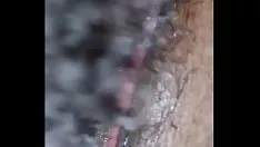 تشغيل تطلب مني مروحة جبهة مورو خشب الأبنوس من تسجيل xvideo أن أعطيها قطعة أرض فاشلة لذلك أعطيها لها. لقد وضعت معجبينى لول