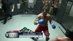 Reproducir Lucha por kitty-cat