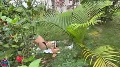 চালান Hottie ছুটিতে চোদা পায়