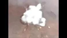 تشغيل جوز برازيلي ▼ تولا غوزادا