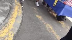 播放 范妮的搭档