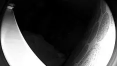 Play Fucworld-beater married woman on spy cam 4