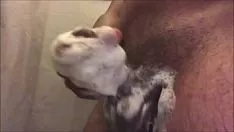 Play Masturbatinkle and performin with my nuts in the shower down