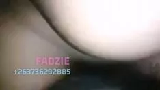 تشغيل Squanderjob و Cowmissy