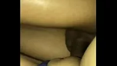 Jouer Néophyte se nourrissant de nifetinha