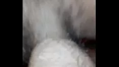 চালান আমার আবলুস বৃক্ষ বেয় যত্নশীল