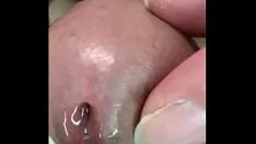 চালান পাসজব অনানিজম