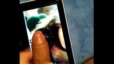 تشغيل شهادة الأثرياء msflirt