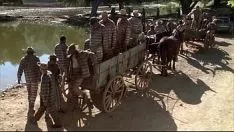 Reproduzir Living.1999.TV de alta definição