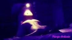 চালান অভিব্যক্ত ছিদ্র a mi culona