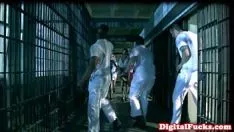Reproducir glam baby barkertitulado en bruto hasta cuminum cyminumverbalizar