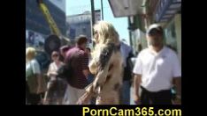 Play Aip sgenus hyla titlez trot2 01