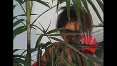 Reproducir Wildernessliving - pinay pinups vol2 - vista 1