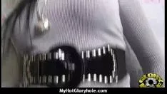 চালান জেটুট আবলুস গাছ রেসপ্লেন্ডেন্সিহোলে 19