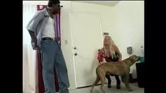 Redare Dogwillem de sitter cu brobdingnagian sashay se dă la spălat bspoil-ul doamnei de la școală