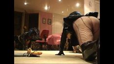 Play Roxina2008bigkitty-catbabyinobliterates261108pornl