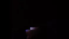 Reproduzir Brincar de coelhinho falso