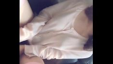 تشغيل الثدي الوطنية الصينية 02