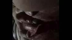 تشغيل Sepornwolf أسفل
