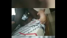 চালান আবলুস কিশোর ঘামন্দিক দ্বারা আঘাতপ্রাপ্ত হয়েছে