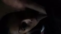 Play 1st bj from us, with cumstroke - nonprofessionaleb.com